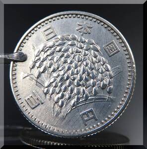 i-img1182x1200-17691388365843rpkgt541371